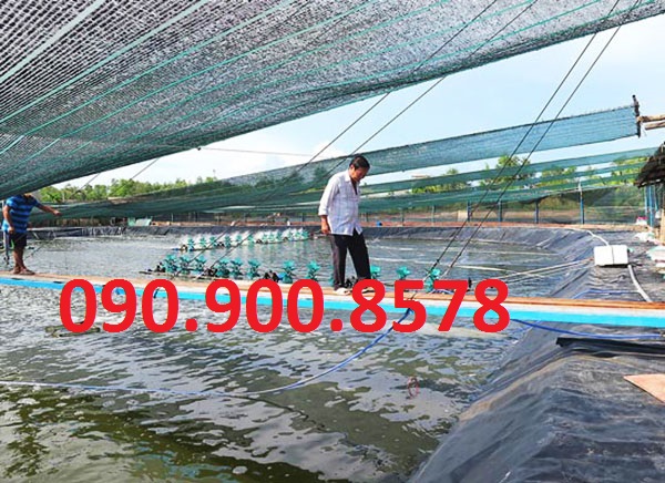 Lưới che nắng cho hồ nuôi tôm